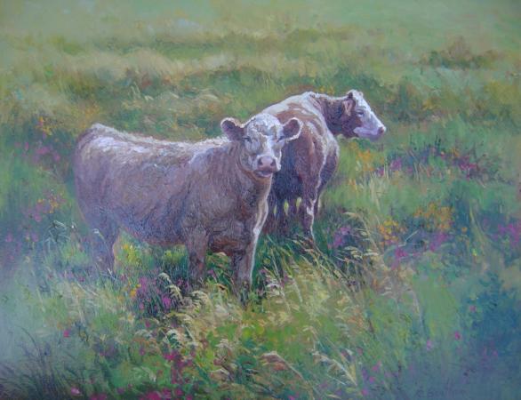 Cows in Wildflowers, 16 X 20 (Oil) - Sold