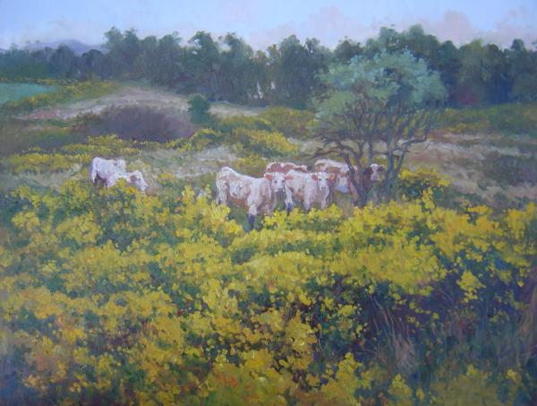 Cows in the Gorse, 14 X 18 (Oil) - Sold