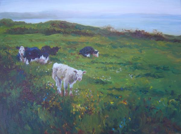 Cows, West Cork, 12 X 16 (Oil)
